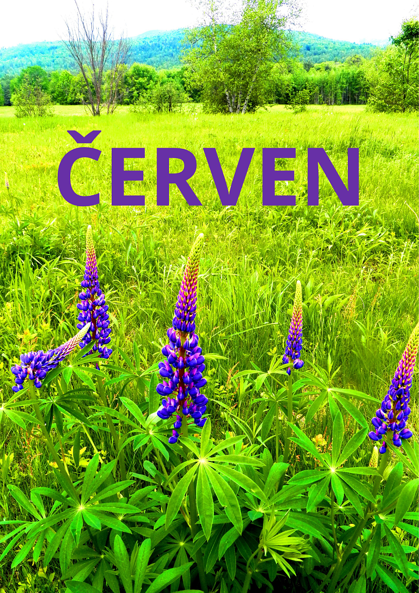 ČERVEN.png