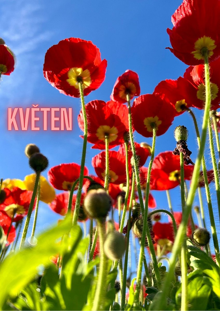 Květen plakát.jpg