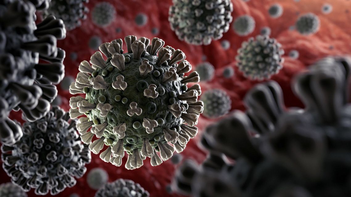 Koronavirus obrázek