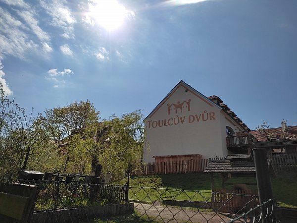 Delfíni v Toulcově dvoře
