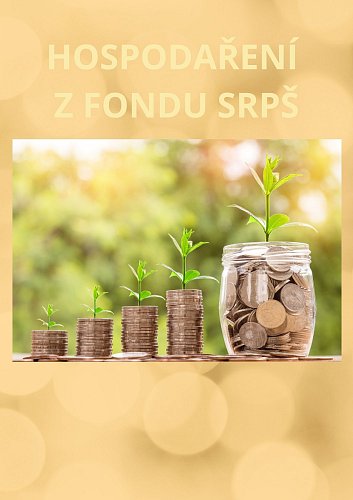 Využití finančních prostředků ze společného fondu SRPŠ v minulém školním roce