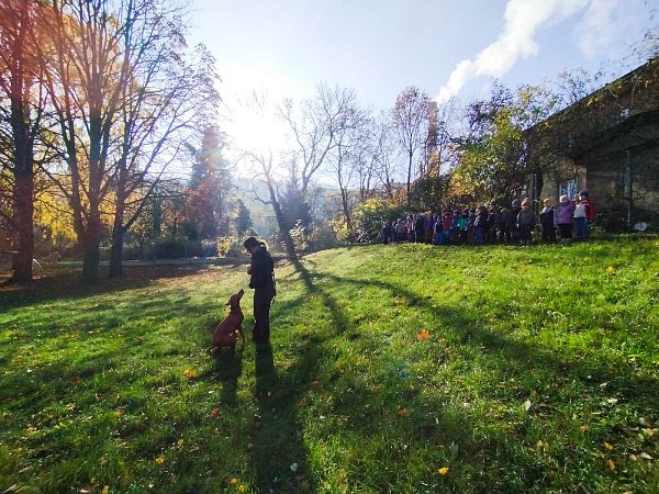 Nadílka pro lesní zvěř