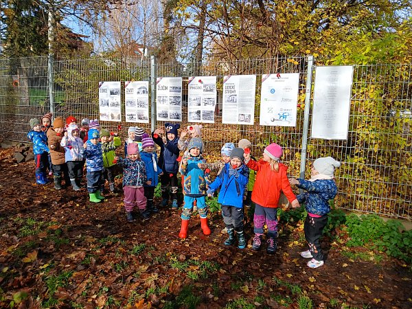 IMG-20251112-WA0008 (1).jpg