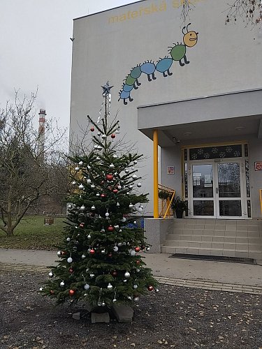 Společné setkání u vánočního stromku