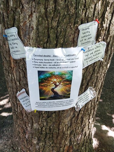 čarodky7 (1).jpg