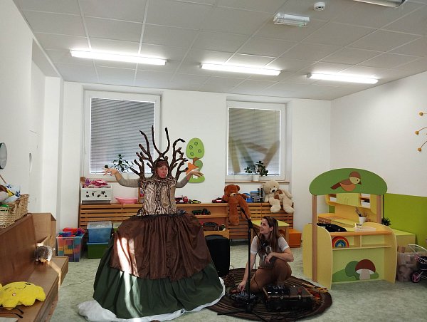 Příběh stromu