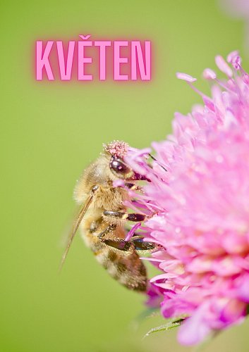 Co nás čeká v květnu