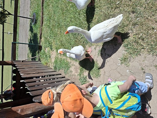 zelčín13.jpg